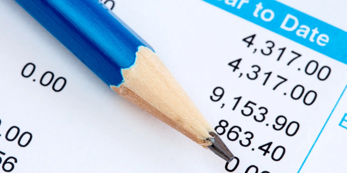California Small Business Payroll Service
