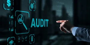 Audit Consultation Tustin